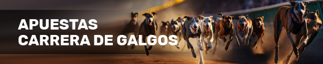 Carrera galgos